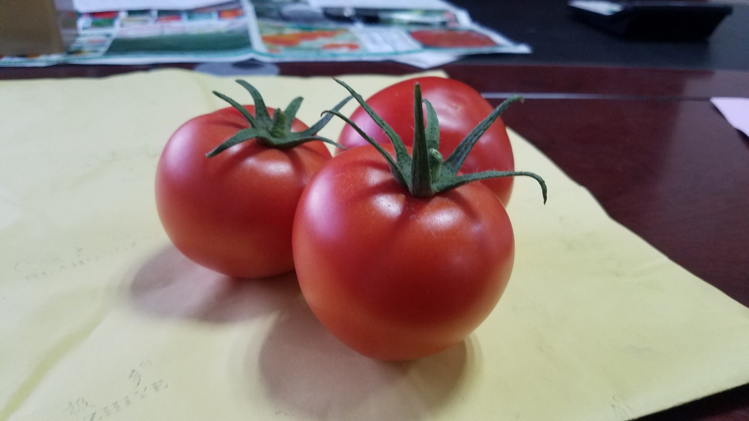 10月17日，公司在聊城组织西红柿产品现场会