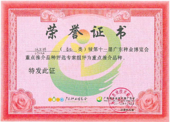 “沃尔特”在广州种子会上获荣誉证书
